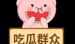 理性的吃瓜群众图片,揭秘网络舆论背后的真相