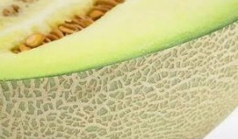 吃瓜吃瓤还是皮好吃