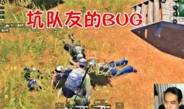 吃鸡胖大瓜,揭秘游戏背后的美食诱惑与身材挑战