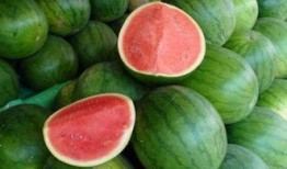 零基础吃瓜,轻松入门，畅享娱乐盛宴