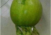 余姚吃瓜事件,一场网络舆论的风暴与反思