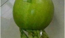 余姚吃瓜事件,一场网络舆论的风暴与反思