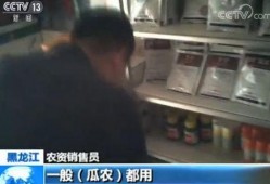 都市吃瓜迷,揭秘娱乐圈背后的秘密与八卦风云