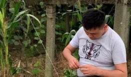 保安室保安吃瓜