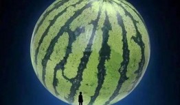 网络语音吃瓜,揭秘网络社交新潮流