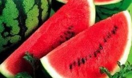 有什么吃瓜网,网络舆论风向标背后的故事