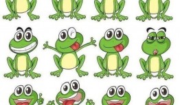 青蛙吃瓜插画头像动漫,动漫插画中的夏日清新美食之旅