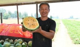 高邮吃瓜事件最新,揭秘背后真相与网络舆论风暴