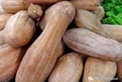 方瓜晒干怎么吃,探索干制方瓜的多重美味