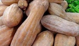 方瓜晒干怎么吃,探索干制方瓜的多重美味