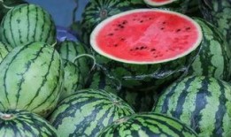 有什么吃瓜网,网络舆论风向标背后的故事