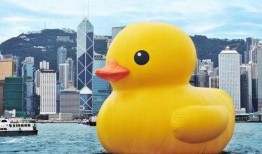 黄鸭吃瓜,揭秘娱乐圈的“瓜田”趣事