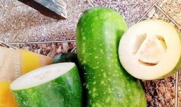 谦道吃瓜,揭秘娱乐圈背后的那些事儿