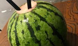 西瓜用户吃瓜,揭秘西瓜用户吃瓜背后的故事