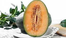 几月份吃瓜,揭秘每月最佳吃瓜时光