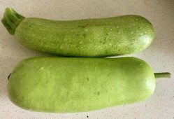 立秋后吃啥瓜,瓜果飘香——探寻立秋后必尝的时令瓜果