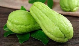 普通对象正常吃瓜,探寻普通人的快乐时光