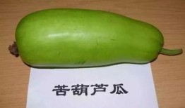 吃瓜吐水,揭秘娱乐圈的甜蜜与苦涩