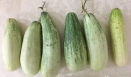 假装吃瓜吓人,揭秘娱乐圈背后的惊悚真相