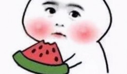 小黄黄吃瓜路人,一场别开生面的人生旅程