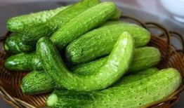 虎耳瓜可以吃,美味与营养并存的天然食材