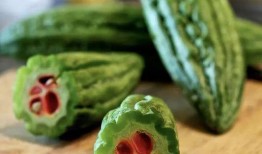 进才吃瓜最新,揭秘娱乐圈最新热点事件