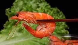 吃瓜能吃大虾不,揭秘夏日美食新风尚