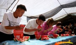 吃瓜看戏河北,揭秘河北风云变幻