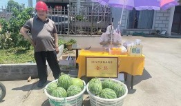 吃瓜扫货员,揭秘网红带货背后的秘密