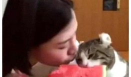 萌姐吃瓜合集,揭秘娱乐圈那些不为人知的幕后故事