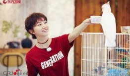 王源助理 吃瓜,吃瓜背后的故事与真相