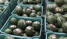 聚集吃瓜,揭秘网络热议背后的现象与心理