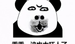 吃瓜熊猫人搞笑视频,萌态百出笑翻天！