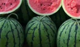 谁吃瓜吃得最快,揭秘谁吃瓜吃得最快