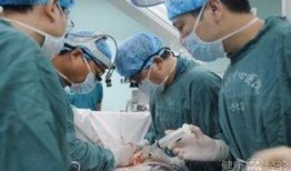 心脏搭桥后可以吃瓜,这些瓜类食物可以放心享用