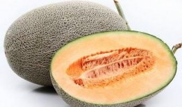 哈密瓜吃哪部分,揭秘最佳食用部位