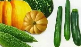 吃瓜落的图片,揭秘瓜农的甜蜜生活与丰收喜悦