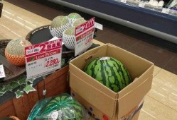 奢侈吃瓜视频,一场视觉与味蕾的双重盛宴