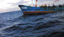 岱山吃瓜船,吃瓜船上的夏日风情体验