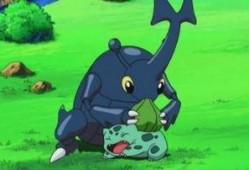 吃瓜的神奇宝贝,吃瓜界的守护神传奇