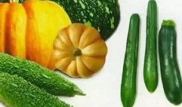 天津融媒体吃瓜,揭秘吃瓜群众的网络狂欢