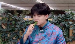 任嘉伦吃瓜爆料,娱乐圈幕后真相大揭秘