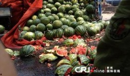 朝阳热心市民吃瓜,揭秘社区生活点滴