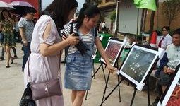 兴化吃瓜群众事件,网络围观下的社会现象解析