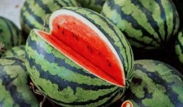 近期吃瓜大合集