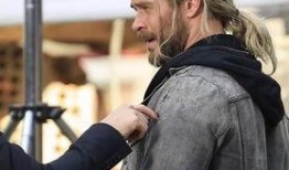 haley吃瓜群众,吃瓜群众的视角，揭秘娱乐圈风云