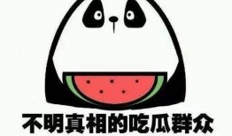 大理吃瓜事件,一场网络热议背后的真相与反思