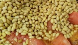 成了吃瓜酱,网络红人的崛起与影响力