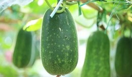 吃瓜不如吃饭,聚焦生活本质，品味人间烟火