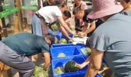 潍坊吃瓜事件跳舞,舞蹈热潮席卷网络